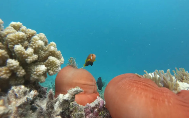 Mahchavaru Maldives