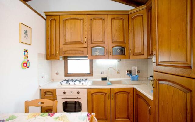 Le Tartarughe Studio n. 1-MONO N  1 LE TARTARUGHE