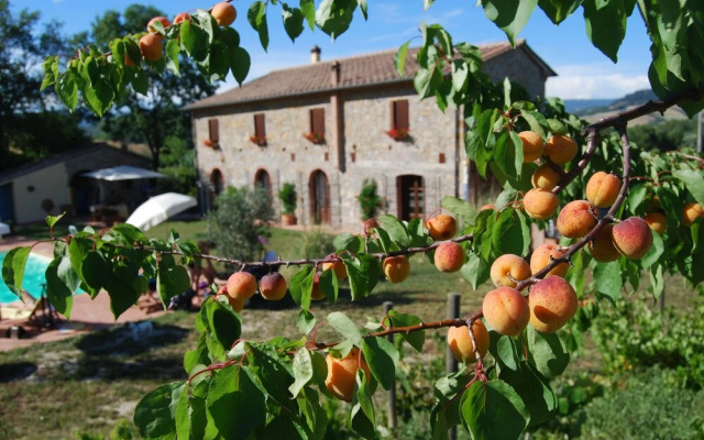 Podere i Melograni
