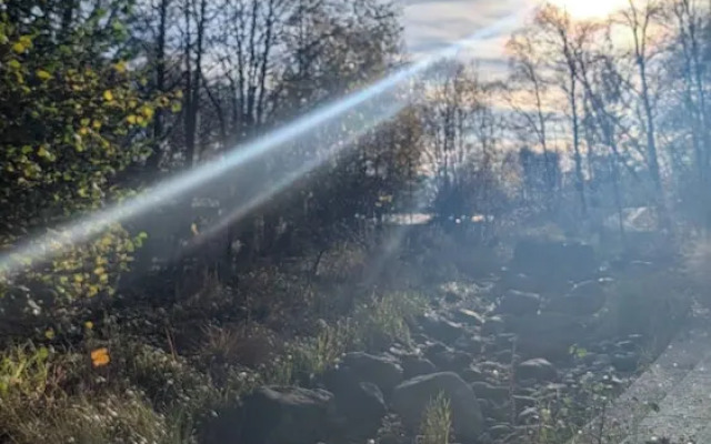 NYC Studio in Central Oslo