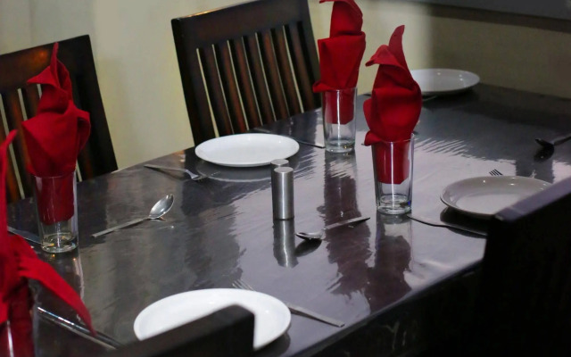 Hotel Padmini Palace