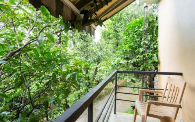 Vythiri Greens Resort
