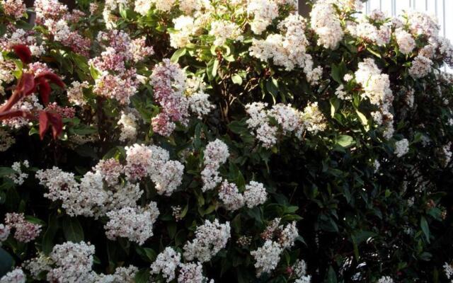 Winning Post Motor Inn