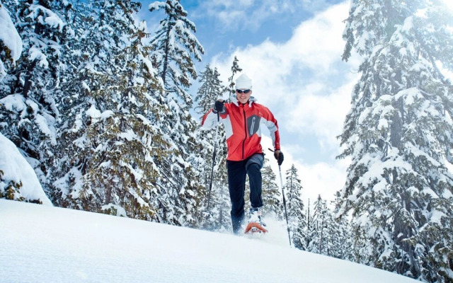 Lovely Apartment With Balcony, Terrace, Heating, Parking