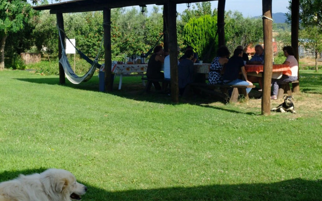 Agriturismo Al Girasole