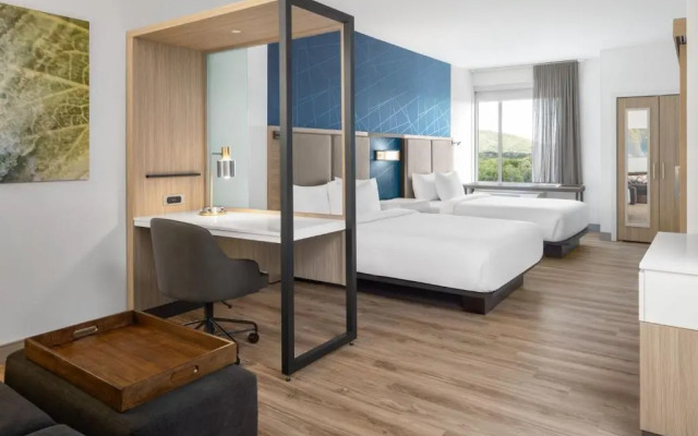 SpringHill Suites Roanoke North