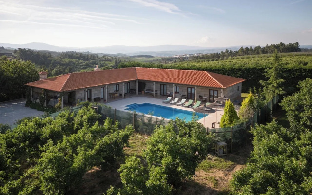 Feel Discovery Maçã Douro