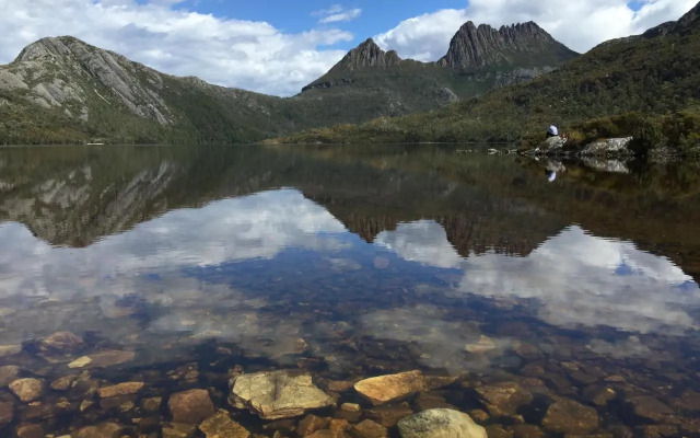 Penguin Seaside Homestay