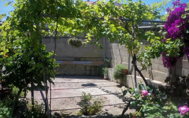 Fuente el Hayedo