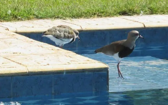 Posada De Bouche A Oreille