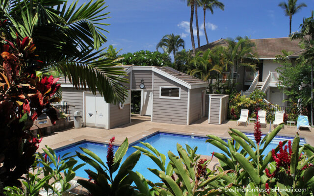 Wailea Grand Champions