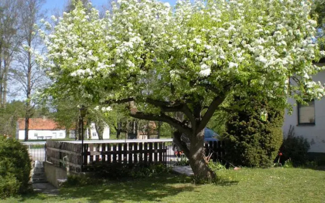 Krutbrännaren Hostel