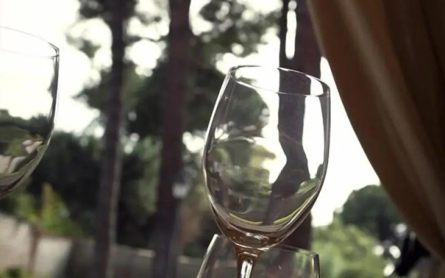 Park Hotel Villamaria