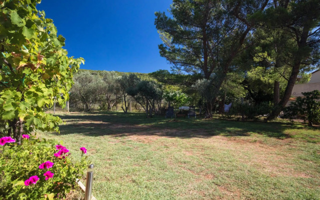 Studio Point of view