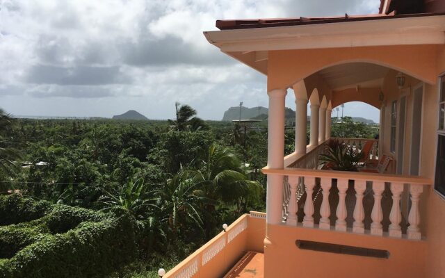 Aupic Paradise
