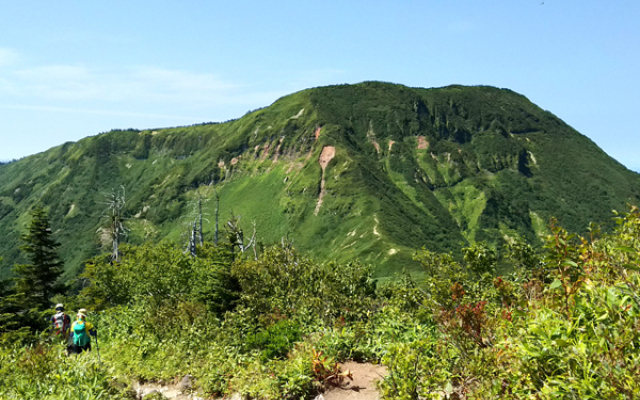 Warabisou