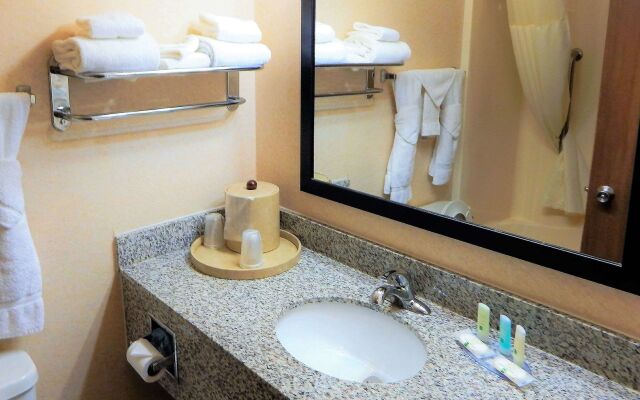 Spark by Hilton Sheridan