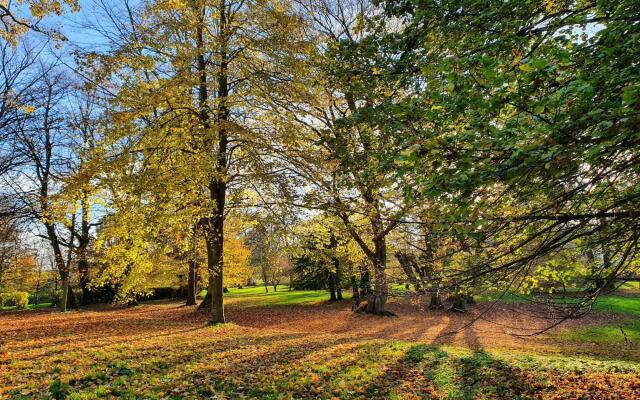 Apartment in Gerdshagen With Garden