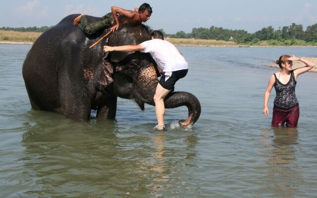 Jungle Wildlife Camp