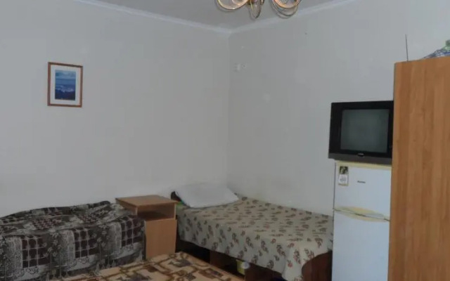 Hostel na Michurina