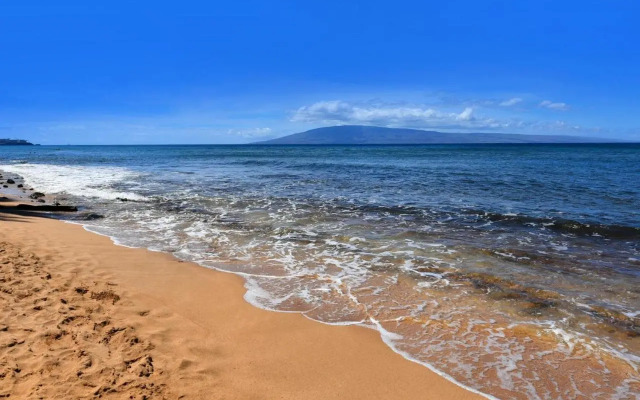 Maui Kai 903