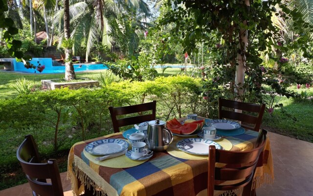 King Coconut Lodge