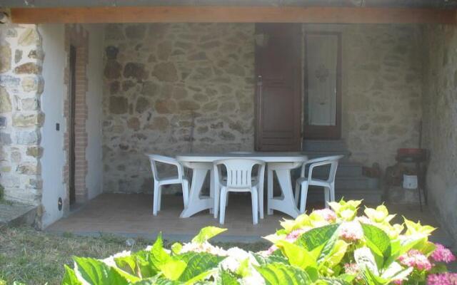 Osarella