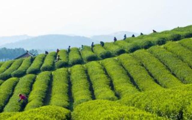 Yixing Shanwanshan Guesthtouse