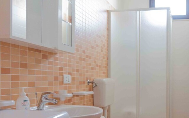 House Surrounded by Olive Trees