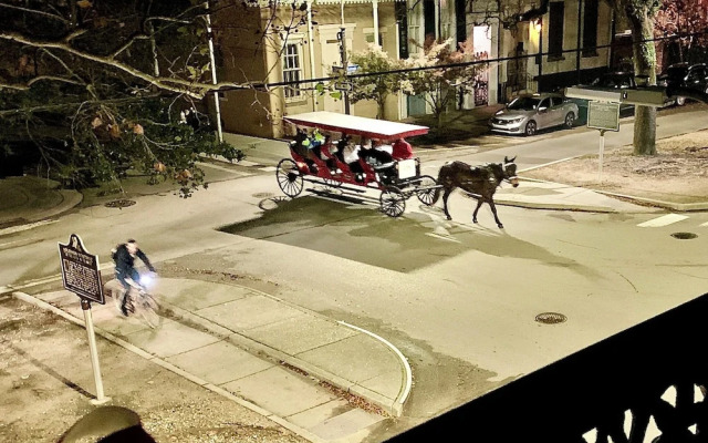 French Quarter Lanaux Mansion B & B