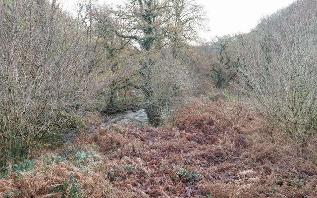 Teign River Retreat