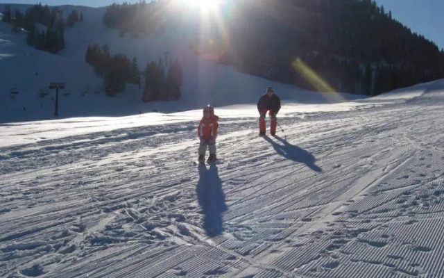 Ferienwohnung Rettenegger