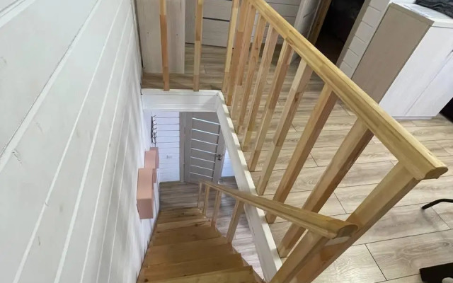 Aviola (Авиола)