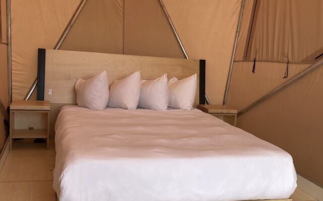 Flying Flags Avila Beach