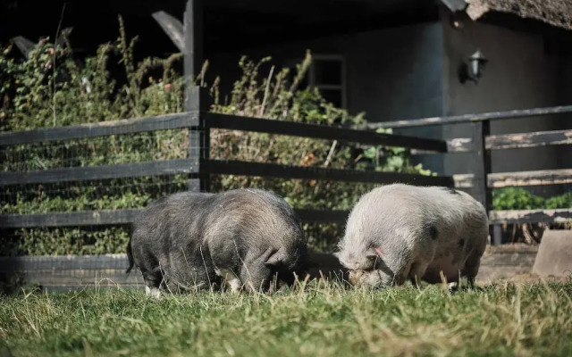 Askegaarden Apartments