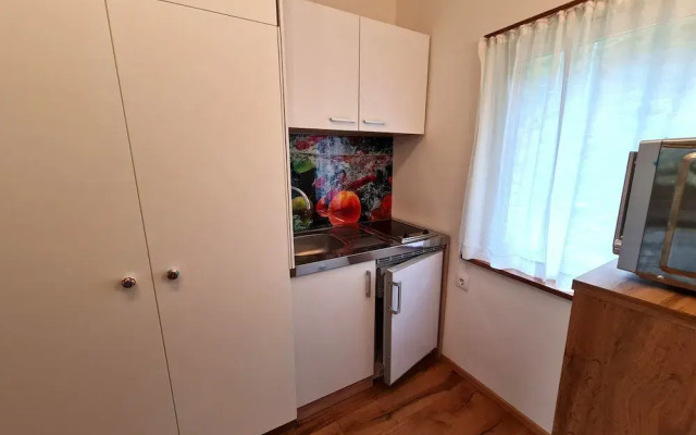 Pet-friendly Apartment in Bad Kleinkirchheim