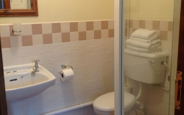 The Dillwyn Arms Hotel
