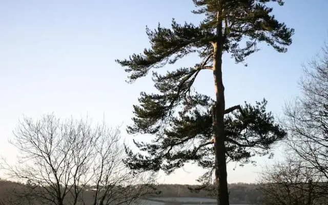 Accommodation at Salomons Estate