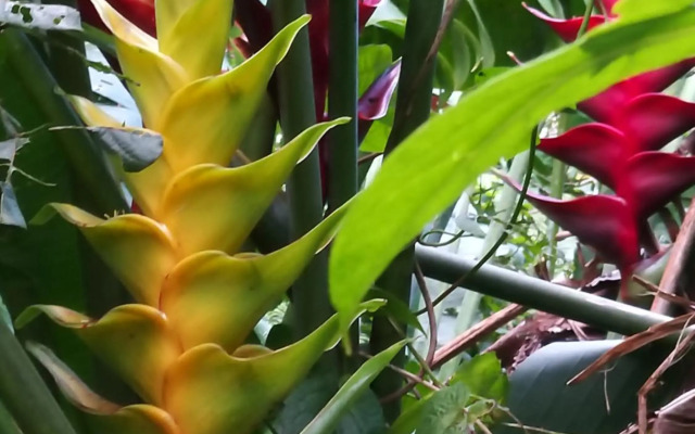 Sympa Aquaverde entre mer et campagne