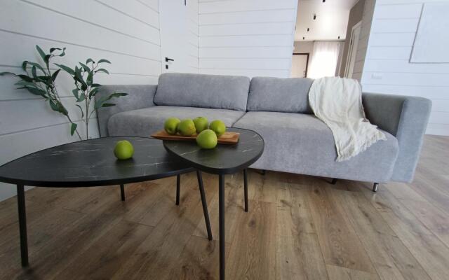 Scandinavian house in Tula