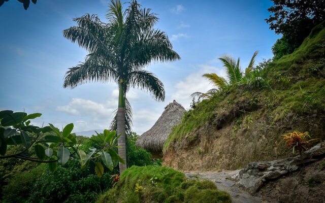 Ecohabs Bosques del Tayrona
