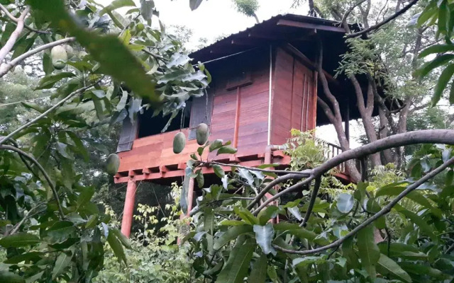 Dambulla Tree House
