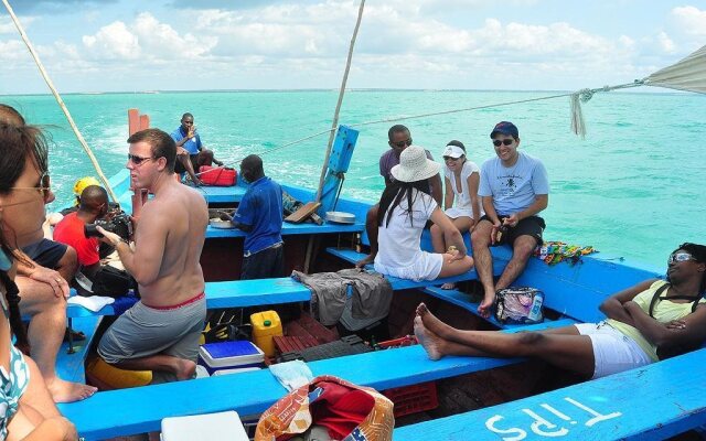 Dolphin Dhow Beach Safaris