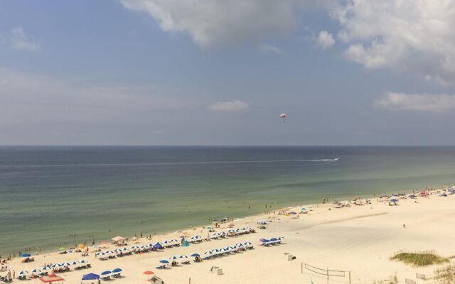 Shoalwater 903 by Youngs Suncoast