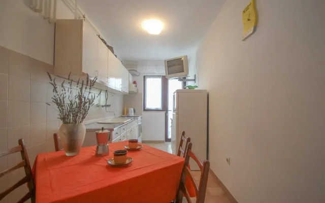 Apartments Ana