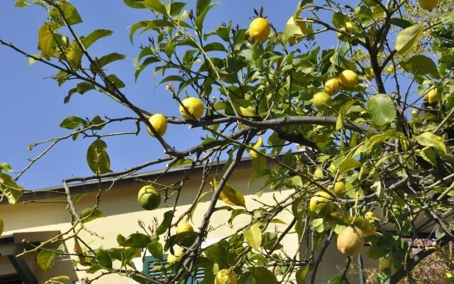 Cà du Ferrà Farm & Relax