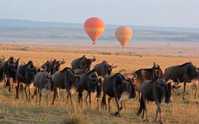 Serengeti Sojourn Mobile Camp