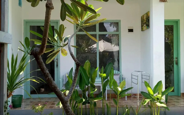 Palm Trees Villas