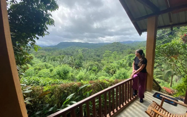 Rainforest Nature House