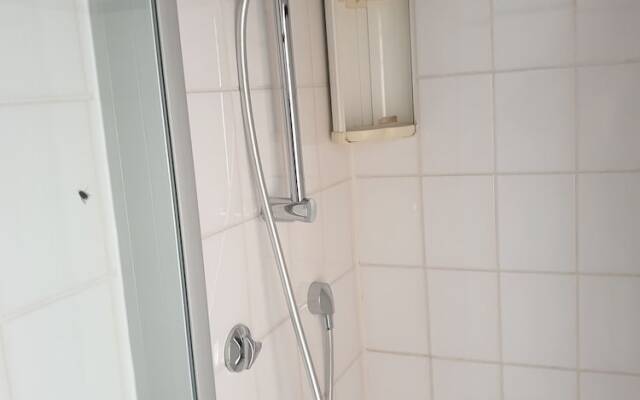 La Alqueria de las Alpacas - Alpakas am Ardey